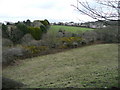 Wooded valley at Carn Brea