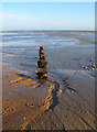 TQ2004 : Remains of a Groyne, Lancing Beach by Simon Carey