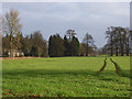 Farmland, Nuneham Park