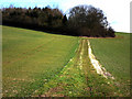 SU6923 : Footpath to Sir William's Hill by Chris Gunns