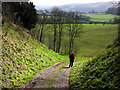 SU6923 : Track descending Sir William's Hill by Chris Gunns