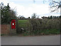 GR postbox by the footpath, Apperley