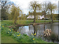 Location, location, location - the village pond, Apperley