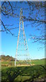 Pylon in Hillfield Park