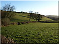 Valley below Red Down