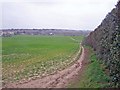 Footpath from Haven Street to Wainscott