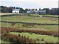 Pastures below Whitelees