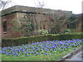 A wonderful flowerbed near Southsea Rose Garden