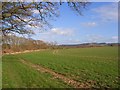 Farmland, Shirburn