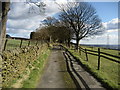 Access Lane to Larkfield Farm