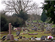 SX4559 : Cemetery at St Budeaux Church by Tony Atkin