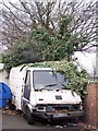 Overgrown van