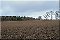 Farmland and Wood