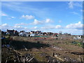 Palterton - Allotments