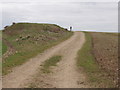 Bridleway to Fern