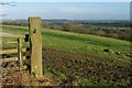 Stone Gate Post, Above Peterelfield Plantation