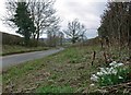 Dunton Lane south of Dunton Bassett