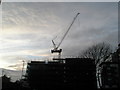 Crane silhouetted against an angry sky