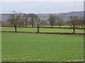 Farmland, Stoke Talmage