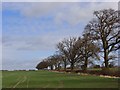 Farmland, Stoke Talmage