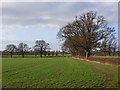 Farmland, Shirburn