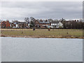 Marsh Lane houses from Jubilee River