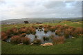 Castercliff Camp Hillfort