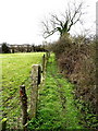 Public footpath west of Preston