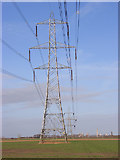 SU5686 : Farmland and pylons, Aston Tirrold by Andrew Smith