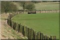 Fence, Ray Demesne