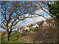 Houses in Water Avens Close, Cardiff