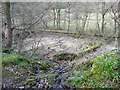 Millpond for Gatehead Mill, Stainland