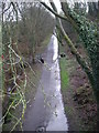 Silkin Way from Stirchley Bridge