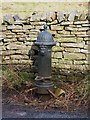 19th C cast iron water hydrant