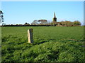 Stone at Windmill Hill Farm