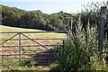 Footpath up to Ash Wood