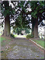 Chudleigh Cemetery