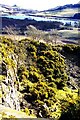 Quarry near Lindores