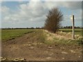 Bridleway to Dunmow Road