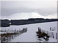 A snowy Fan Brycheiniog from Gwernwyddog