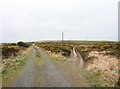 Junction with track on St Breock Downs