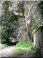 Footpath past the Old Hall