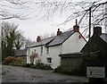 Farmyard Nurseries