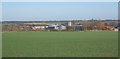 Fields near Milden looking towards Wyncolls Hall Farm