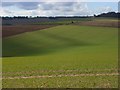 SU3078 : Farmland on the downs near Lambourn by Andrew Smith