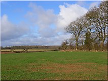 SU3176 : Farmland, Lambourn Woodlands by Andrew Smith