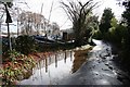 Frensham Great Puddle