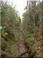 Footpath near Irby Quarry.