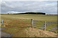 Gate and Farmland