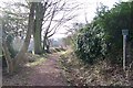 Footpath off Mowson Lane, near Worrall